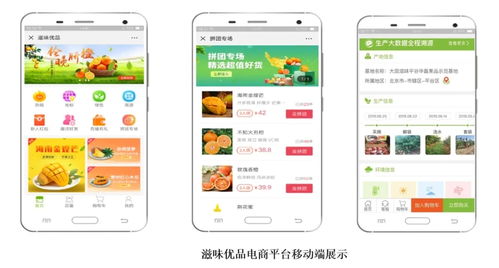智慧農(nóng)業(yè)新篇章 1.28億元數(shù)字化服務(wù)，守護(hù)農(nóng)產(chǎn)品安全生命線